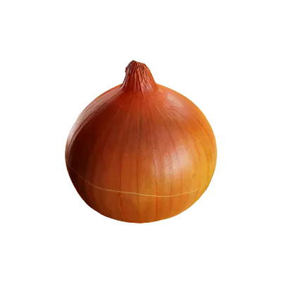 onion 002 — Descargar