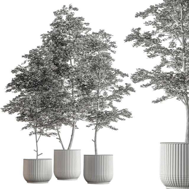 Indoor Plant 591 -Tree in Pot — Descargar