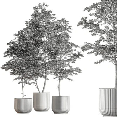 Indoor Plant 591 -Tree in Pot — Ver 4