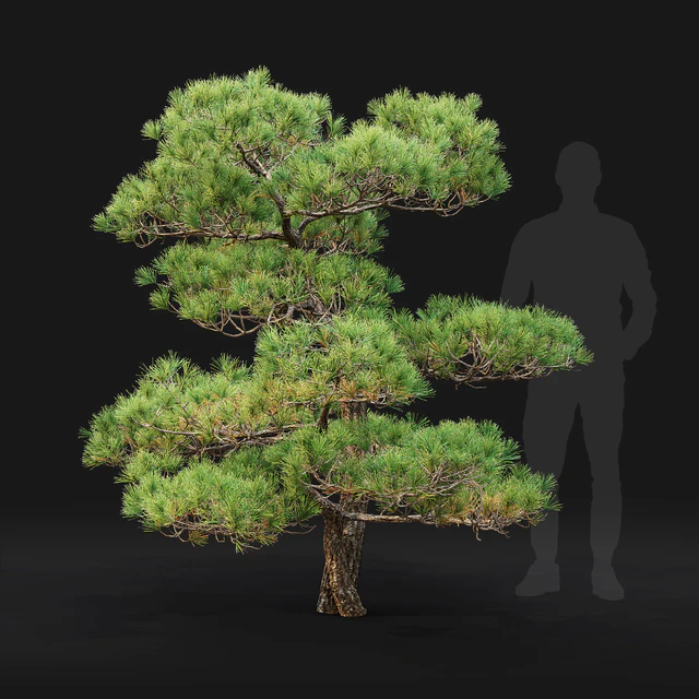 Bonsai — Скачать