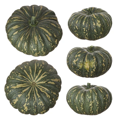 Pumpkins — Ver 7