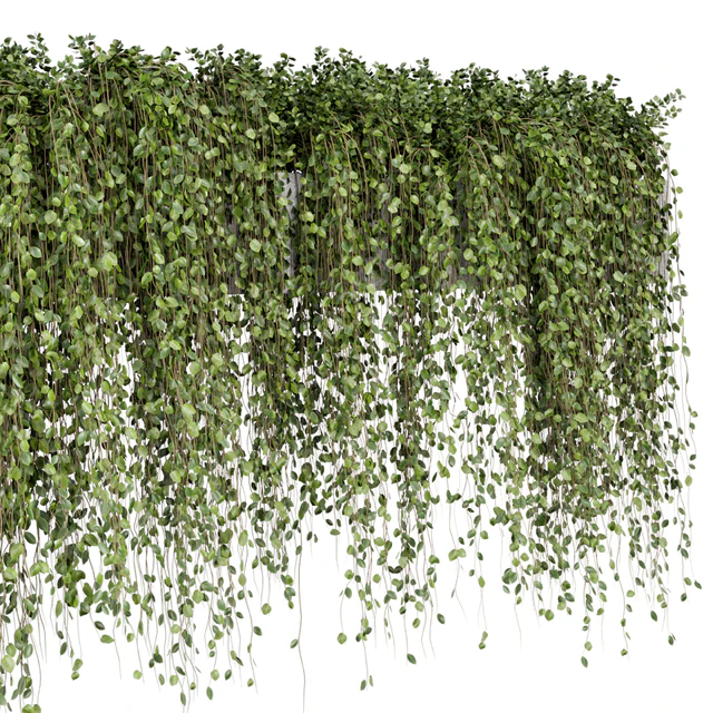 Hanging Plants in rusty Concrete Pot - Set 509 — Descargar