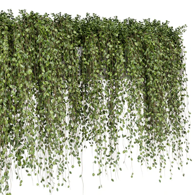 Hanging Plants in rusty Concrete Pot - Set 509 — Ver 6