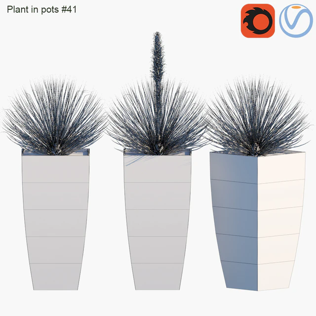 Plant in pots #41 : Agave — Скачать