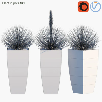 Plant in pots #41 : Agave — Вид 2