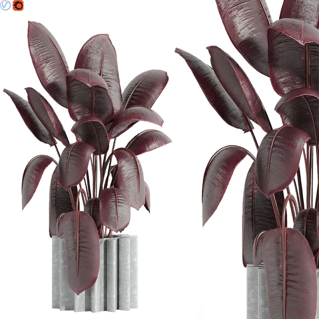 Indoor plant 65 — Descargar