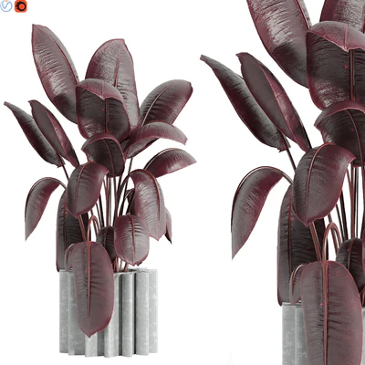 Indoor plant 65 — Ver 1