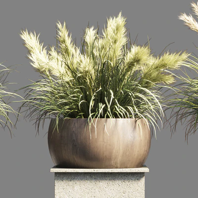 Collection outdoor indoor 70 pot palnt grass the dry pampas stand vase wooden — Ver 5