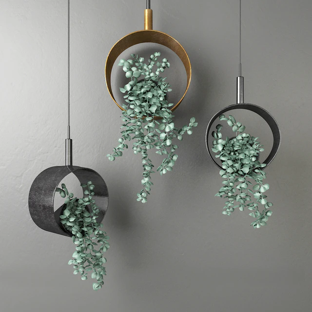 Dichondra in a hanging flowerpot # 1 — Descargar