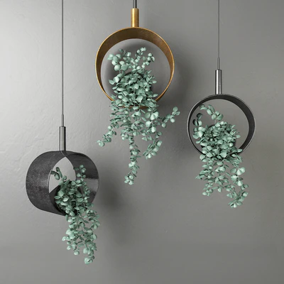 Dichondra in a hanging flowerpot # 1 — Ver 1