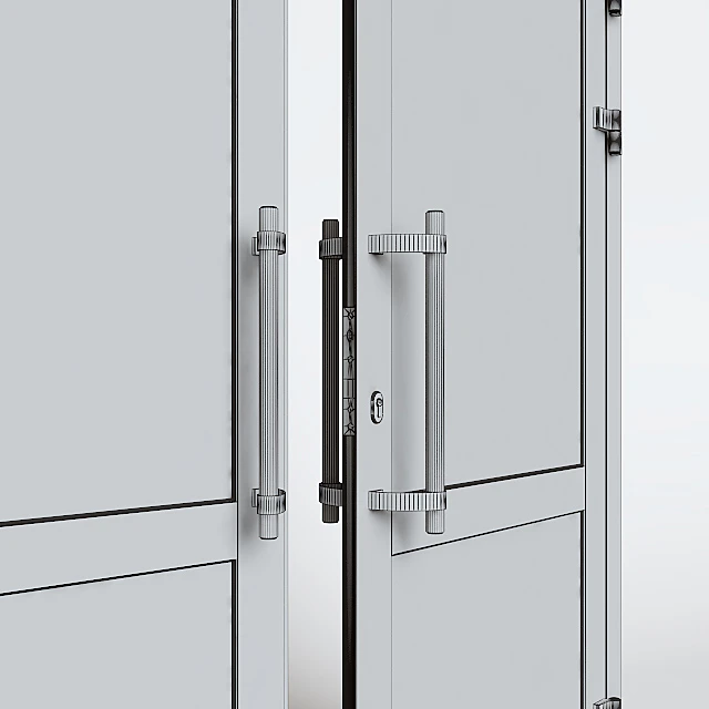 Entrance aluminum door — Descargar