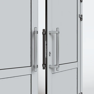 Entrance aluminum door — Ver 2