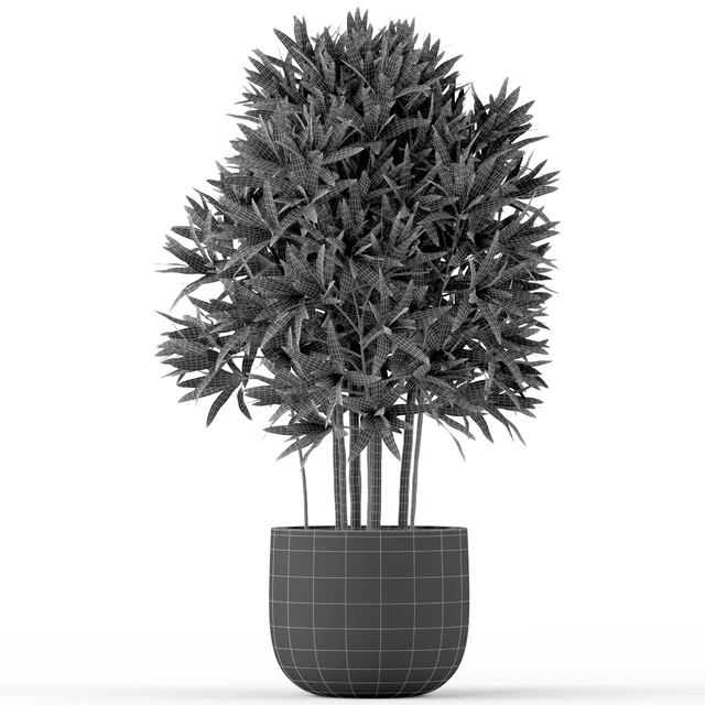 Plants collection 224 — Descargar