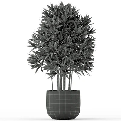 Plants collection 224 — Ver 3
