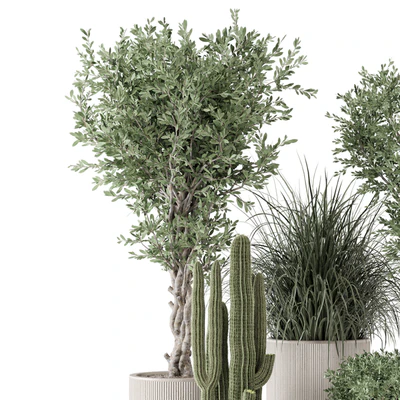 Indoor Plants  in rusty Concrete Pot - Set 1911 — Вид 5