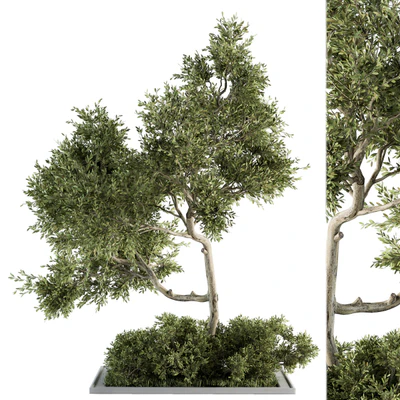 Garden set Tree and Bush - Garden Set 13 — Ver 1