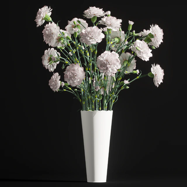 Carnation 2 — Descargar