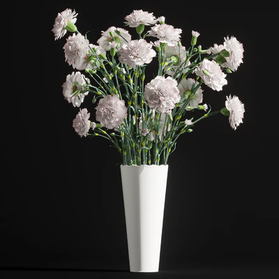 Carnation 2 — Ver 1