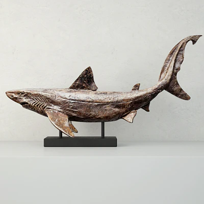 Relief of a Swimming Shark — Descargar