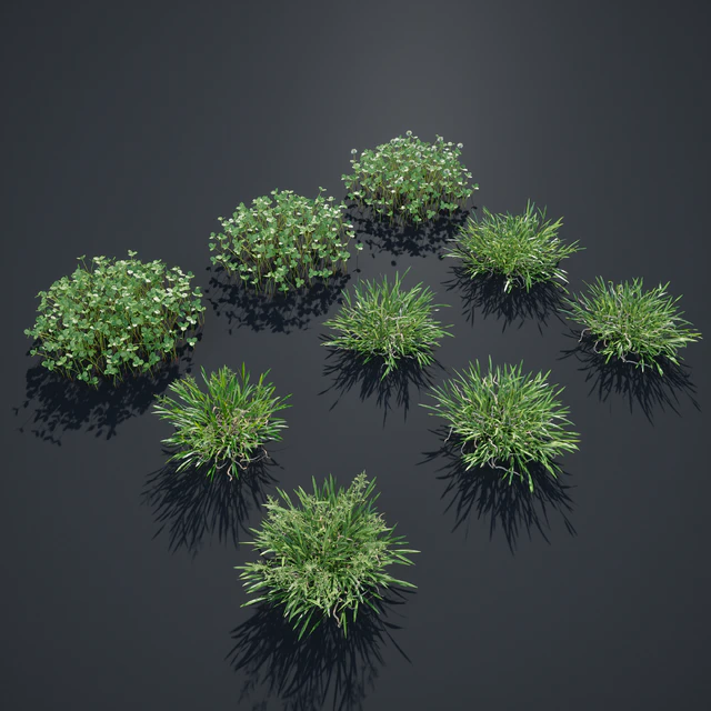 Lawn - bluegrass with clover — Descargar