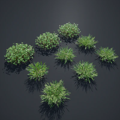 Lawn - bluegrass with clover — Ver 4