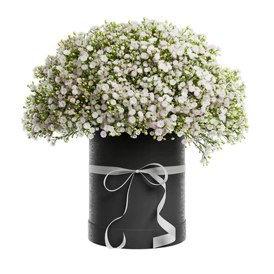 Gypsophila bouquet in a hat box — Ver 4