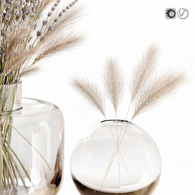 Dry flowers in glass vase with lavender — Ver 4