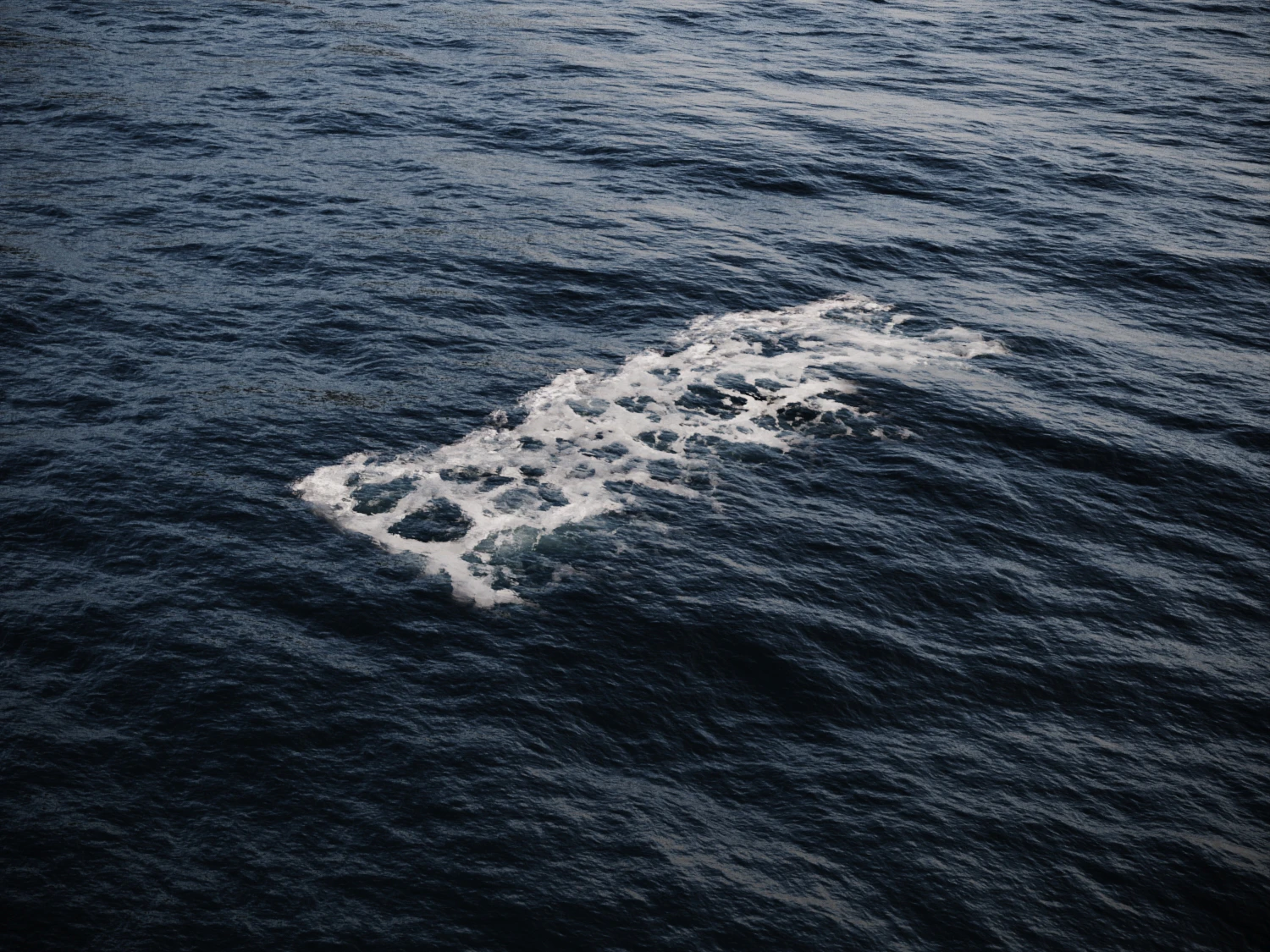 foam 005 — Descargar