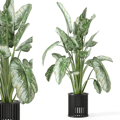 Indoor Plants  in Metal Pot - Set 842 — Вид 7