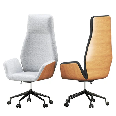 Ginkgo Conference chair — Ver 6