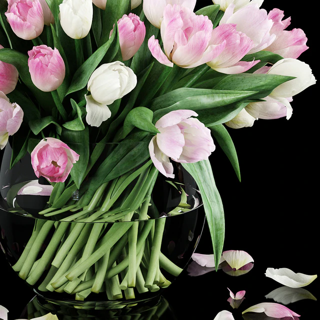 Tulips — Descargar
