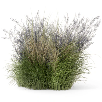 Outdoor Plants Bush-Bush Set 660 — Ver 5