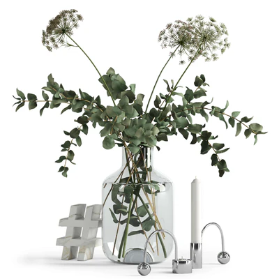 Eucalyptus and Anna's lace with decor — Ver 1