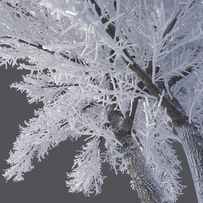 Winter tree (6 meters) — Ver 3