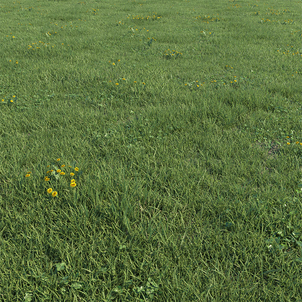 foliage collection — Скачать