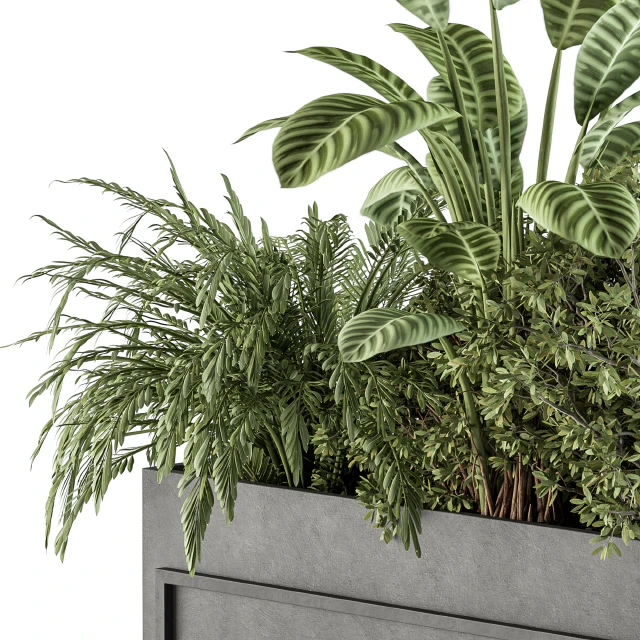 indoor Plant Set 321 - Plant Set in Black Box — Descargar