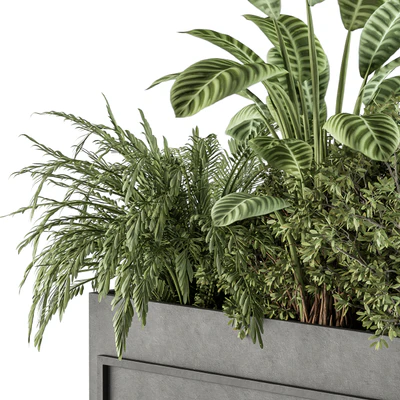indoor Plant Set 321 - Plant Set in Black Box — Ver 2