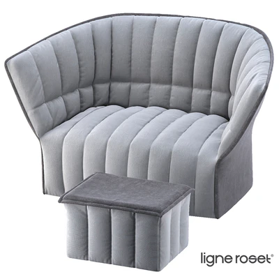 Ligne Roset Moel Sofa &amp; Pouf — Ver 1