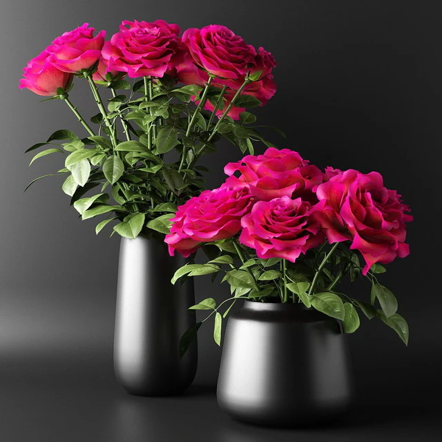 Bouquets of red roses in black vases | Bouquets of red roses in black vases — Descargar