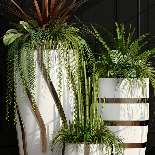 Room plants 15 — Descargar