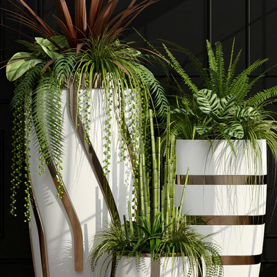 Room plants 15 — Ver 2