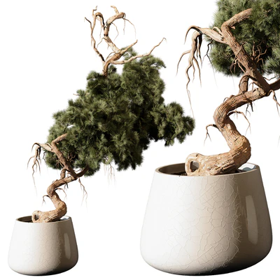 indoor Plant 246 — Ver 1
