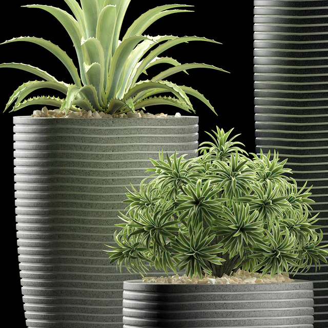 PLANTS 106 — Descargar