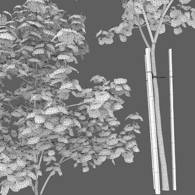 Acer — Descargar