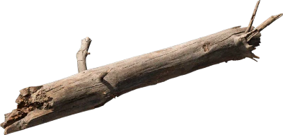 broken tree branch 001 — Скачать