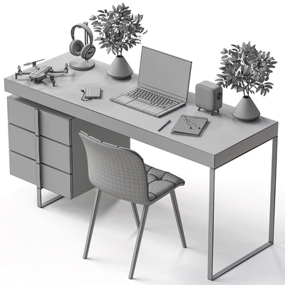 Workplace — Ver 5