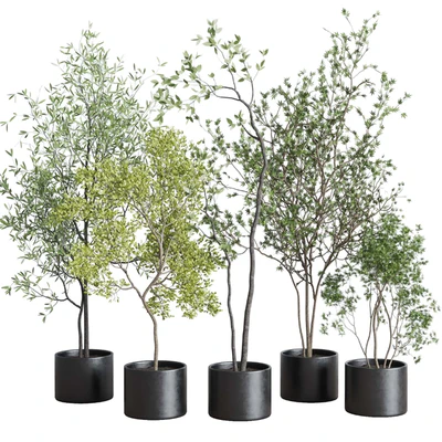 collection indoor plant 326 concrete vase — Вид 1