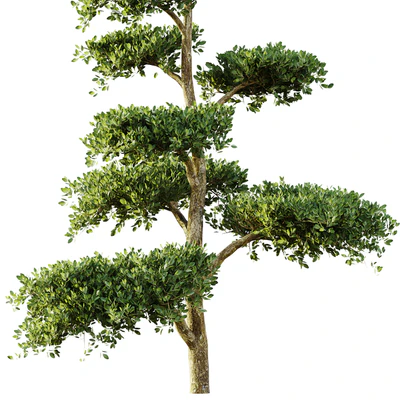 tree set 04 — Вид 4