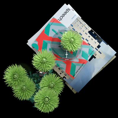 Green Spider Mom Asters Set — Ver 3