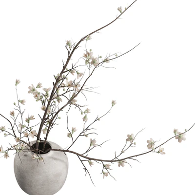 Flower In Vase 52 — Ver 5